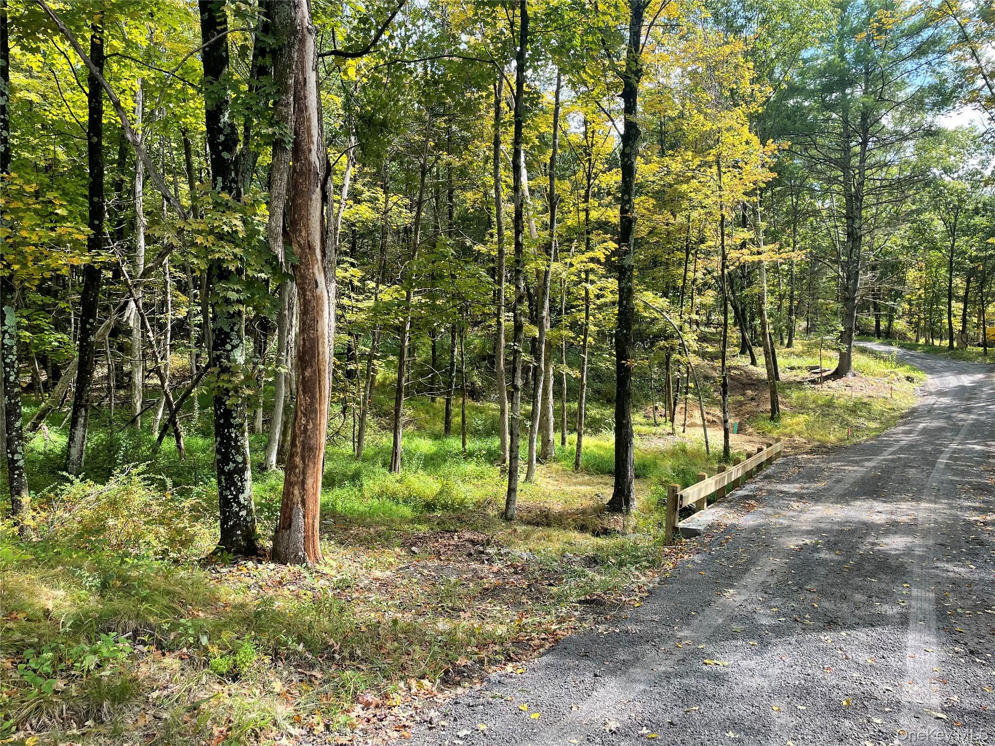 Lot #2 Church Road Red Hook, NY 12571 - Photo 3 of 17 View of street featuring a forest view