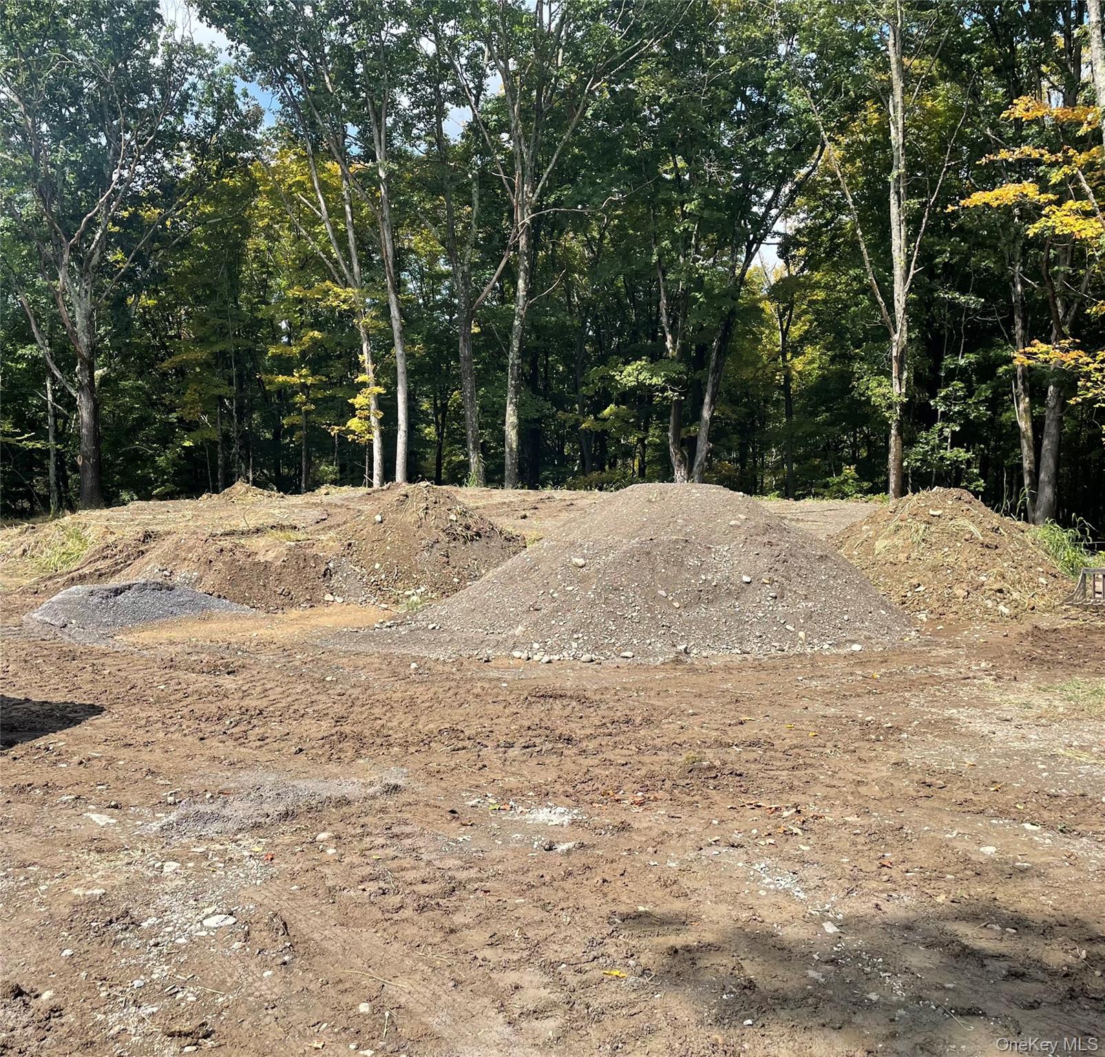 Lot #2 Church Road Red Hook, NY 12571 - Photo 8 of 17 View of undeveloped land