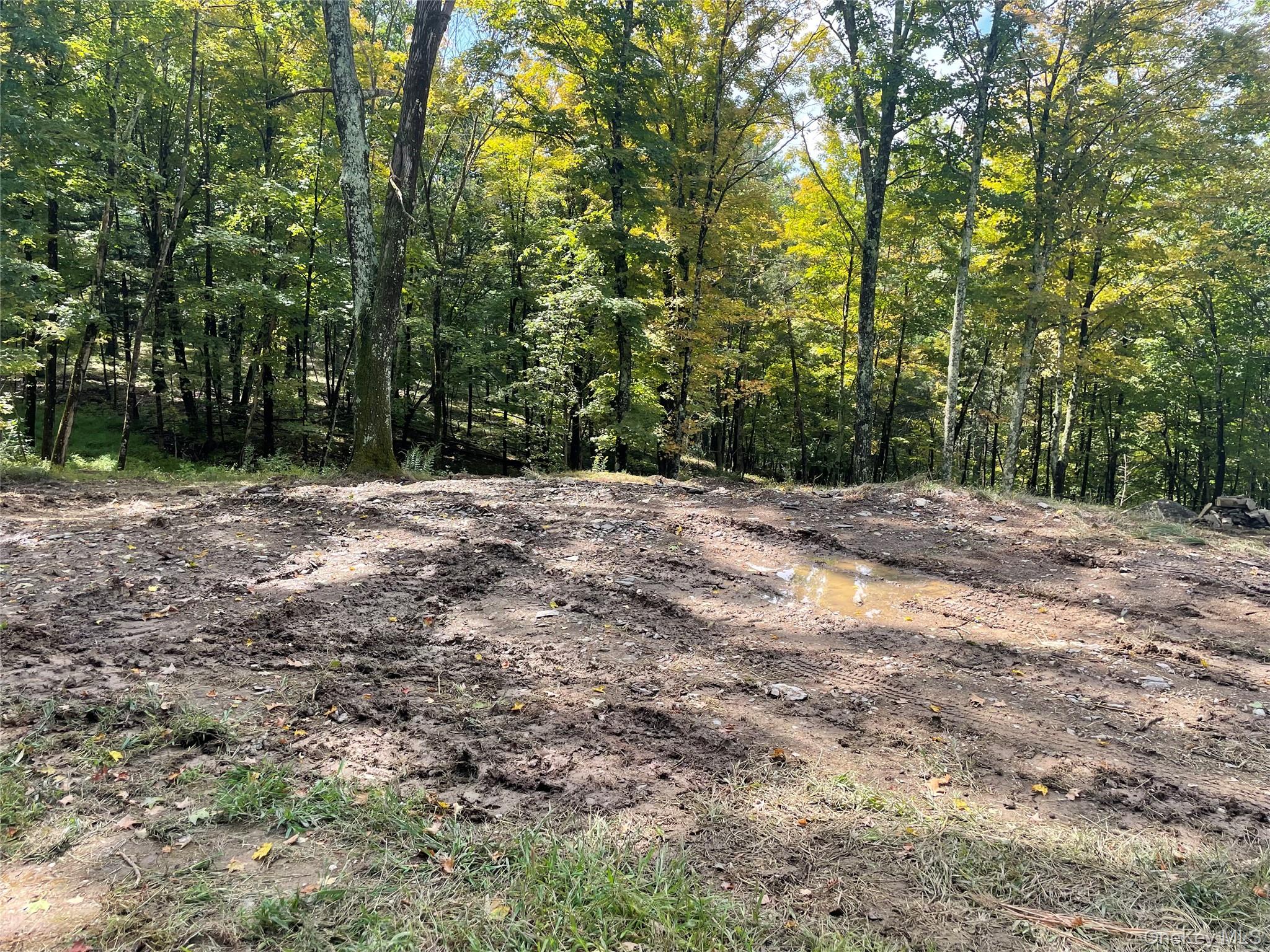 Lot #2 Church Road Red Hook, NY 12571 - Photo 9 of 17 View of tree filled area