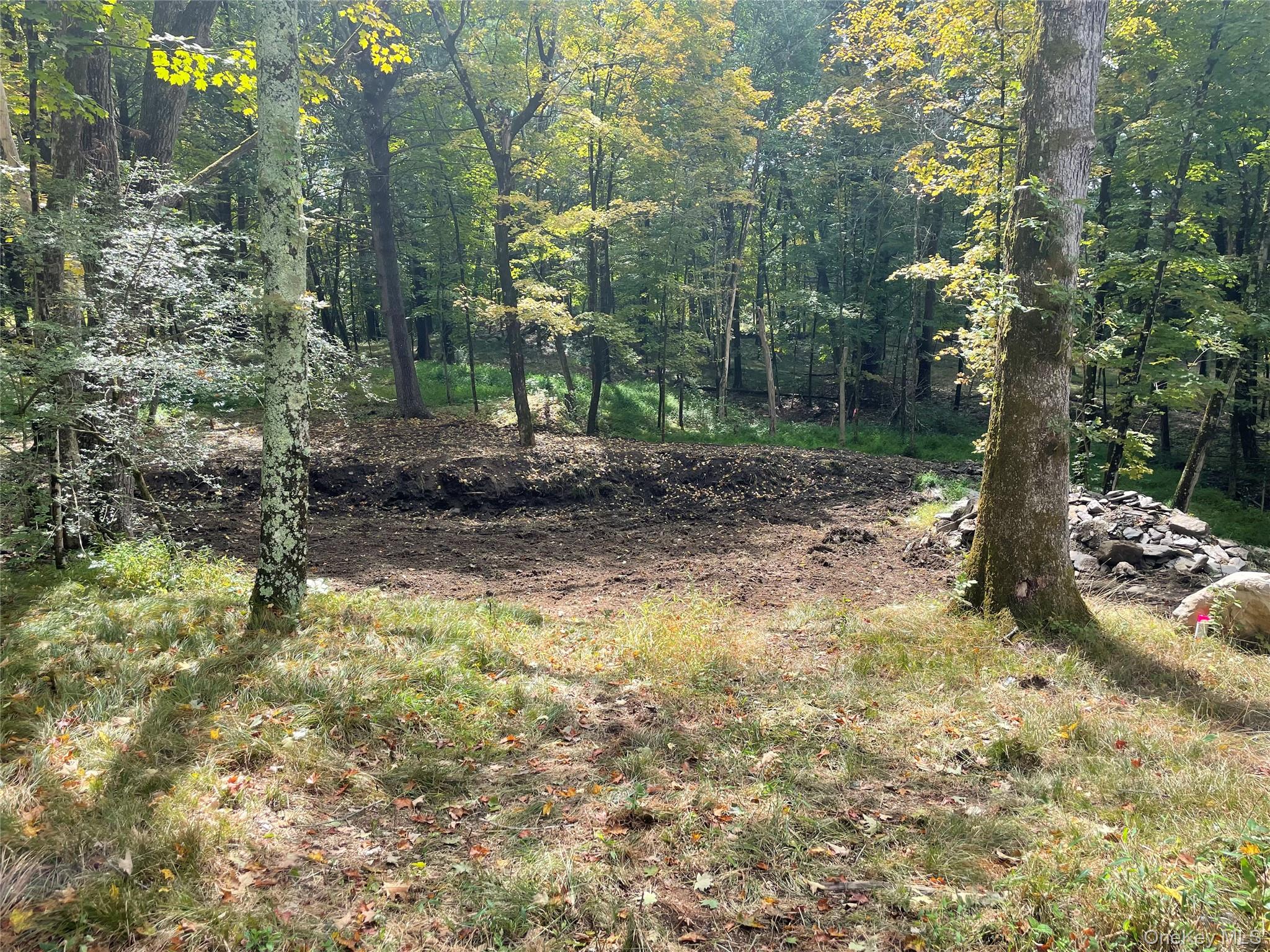 Lot #2 Church Road Red Hook, NY 12571 - Photo 10 of 17 View of tree filled area