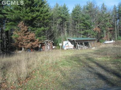 456 Cairo Junction Road Catskill, NY 12414 - Photo 1 of 1 a view of a lake with trees in the background