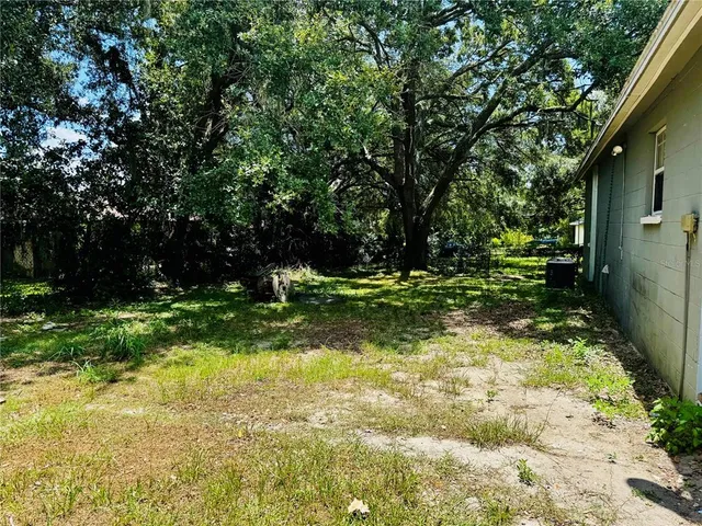 a view of backyard with green space