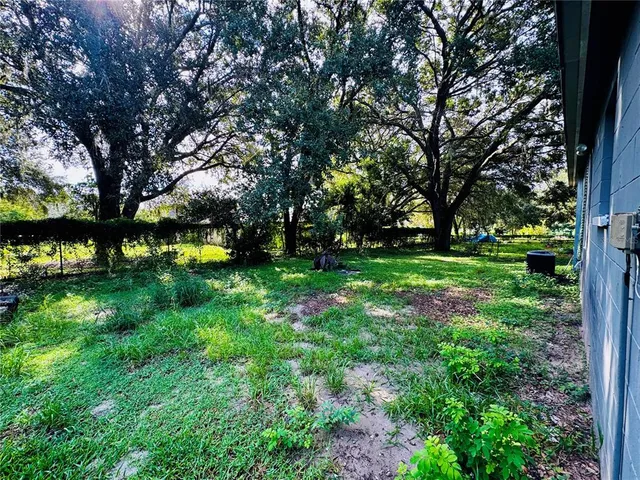 a view of green field with large trees