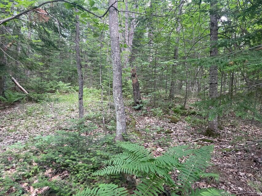 80 Gammon Road Peru, ME 04290 - Photo 11 of 18 20220616135824136856000000-o