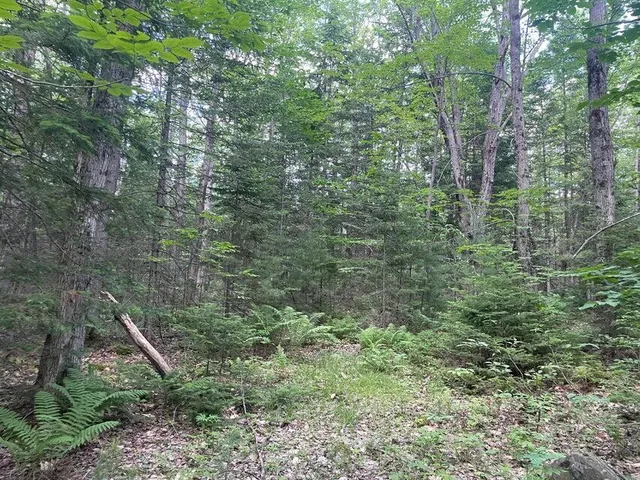 $34,900 | 80 Gammon Road, Peru, ME 04290