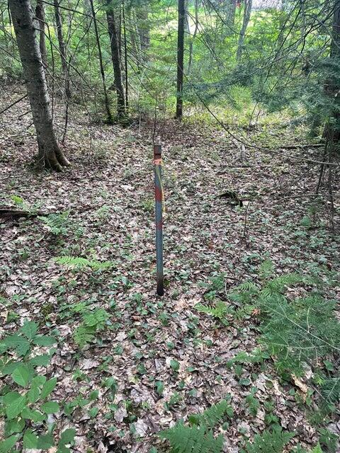 80 Gammon Road Peru, ME 04290 - Photo 16 of 18 20220616150246109941000000-o