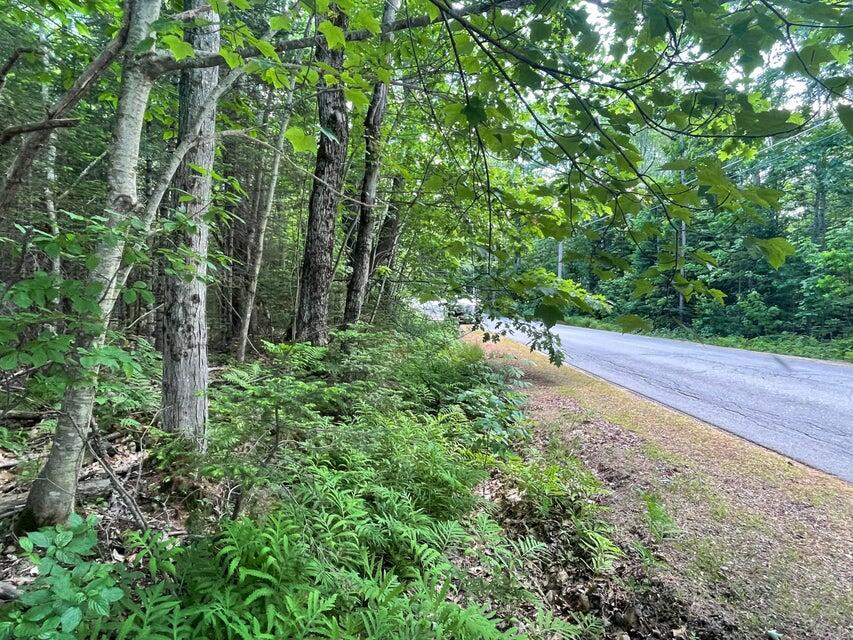 80 Gammon Road Peru, ME 04290 - Photo 4 of 18 20220616150642726221000000-o