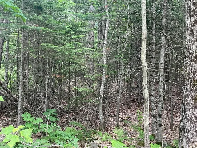 $34,900 | 80 Gammon Road, Peru, ME 04290