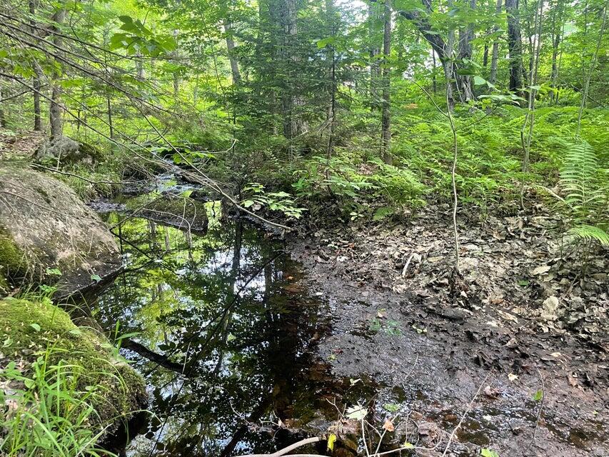 80 Gammon Road Peru, ME 04290 - Photo 10 of 18 20220616135906056139000000-o