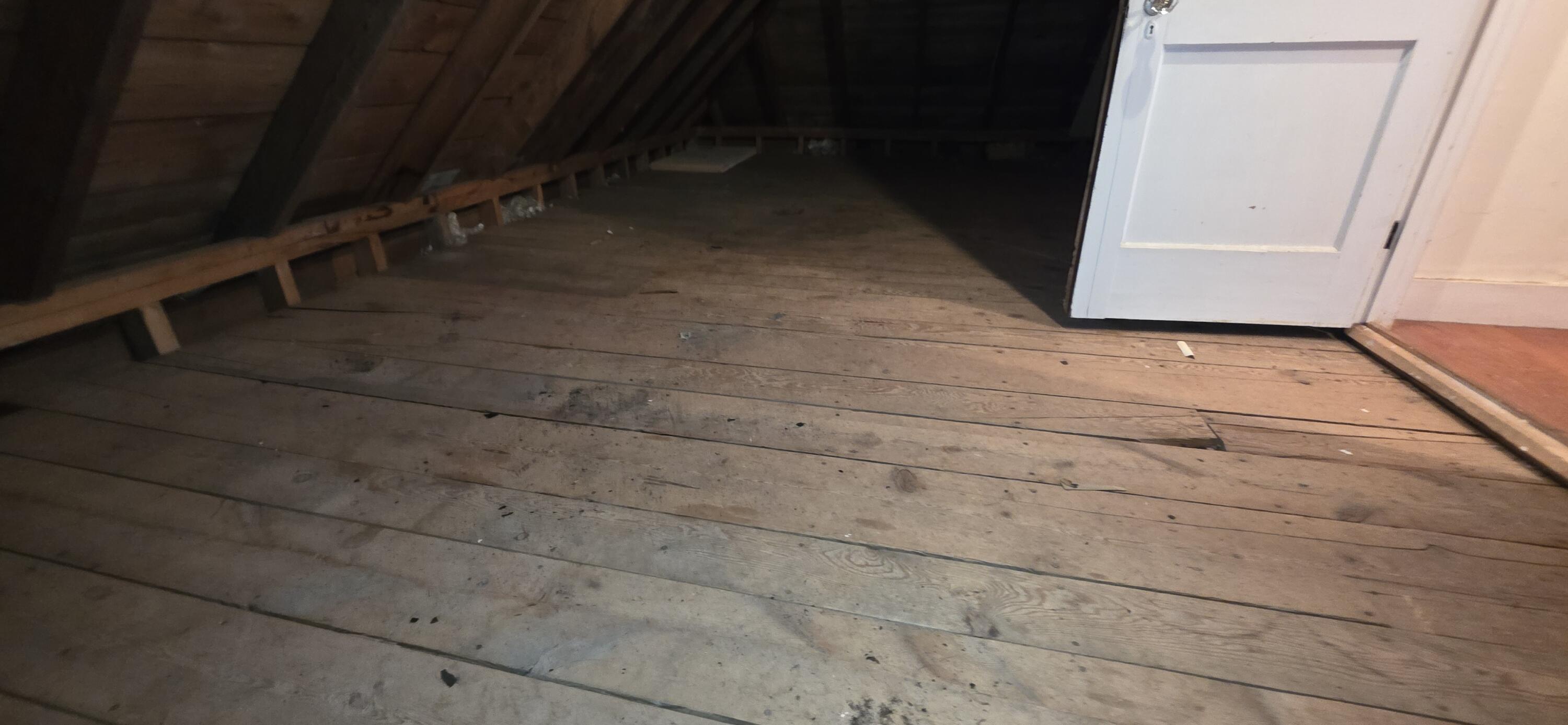 73 Elmwood Road Auburn, ME 04210 - Photo 39 of 44 20260826_114217