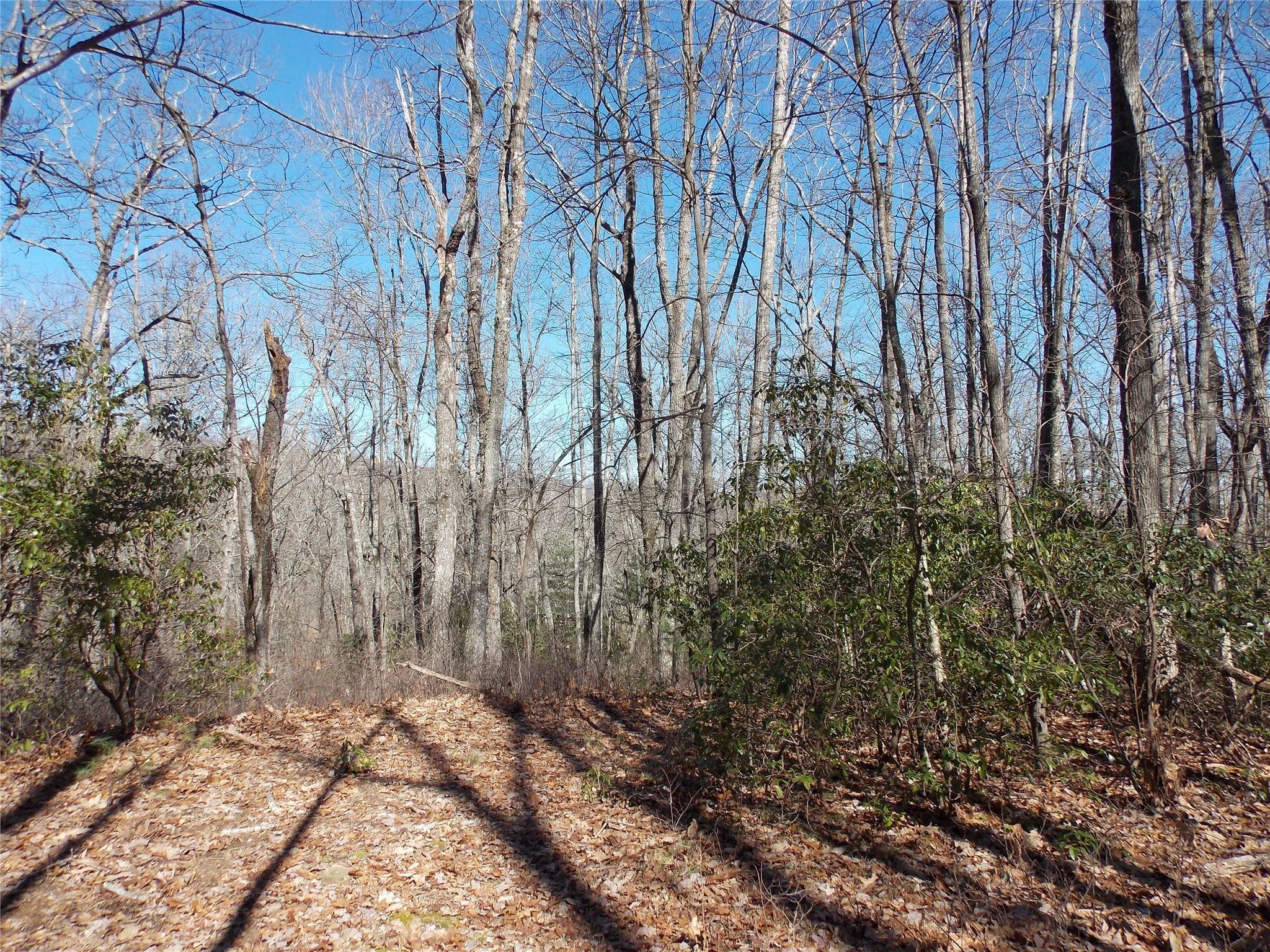 Tbd Raynolds Ridge Lake Toxaway, NC 28747 - Photo 1 of 10 Gallery Image 1