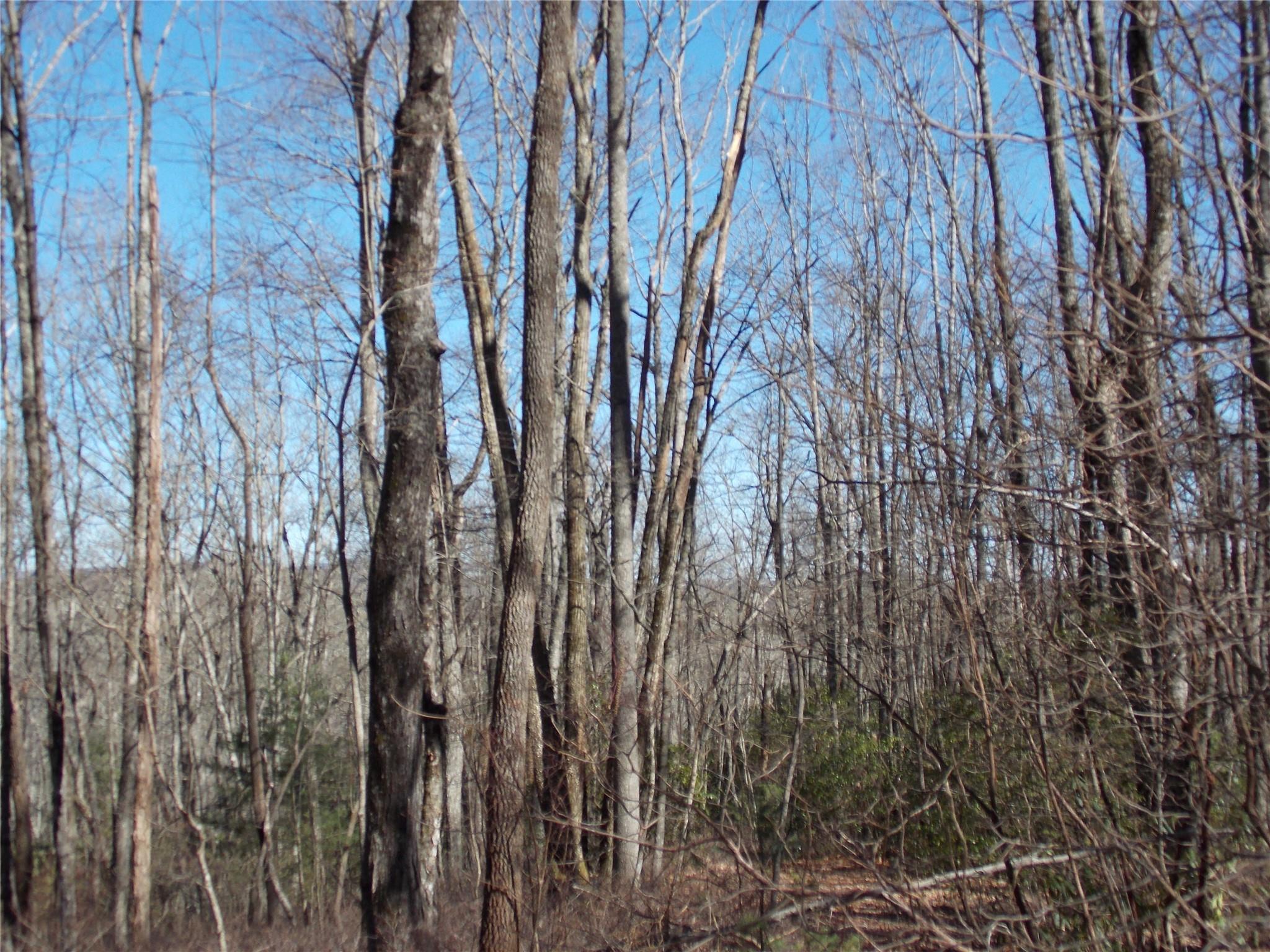 Tbd Raynolds Ridge Lake Toxaway, NC 28747 - Photo 2 of 10 Gallery Image 2