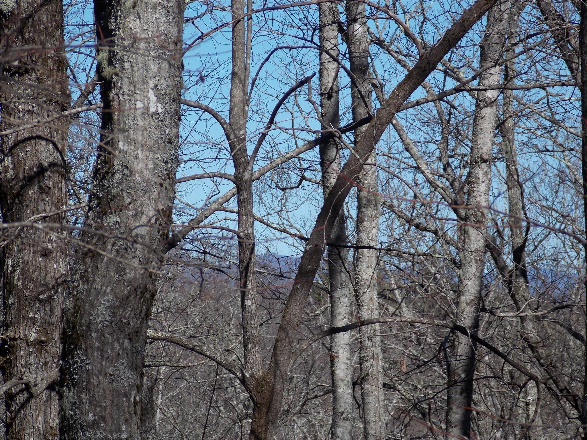 Tbd Raynolds Ridge Lake Toxaway, NC 28747 - Photo 3 of 10 Gallery Image 3