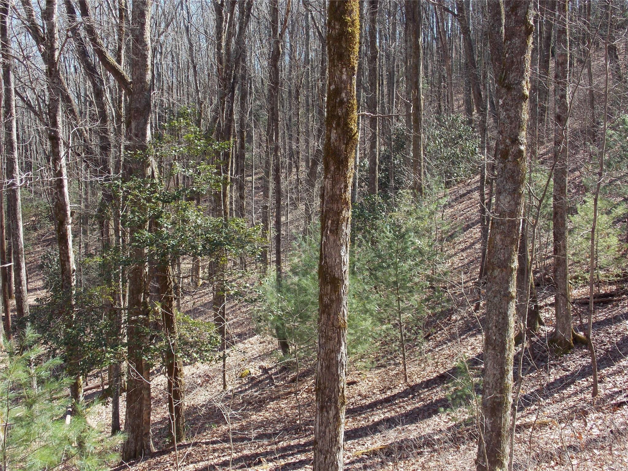 Tbd Raynolds Ridge Lake Toxaway, NC 28747 - Photo 4 of 10 Gallery Image 4