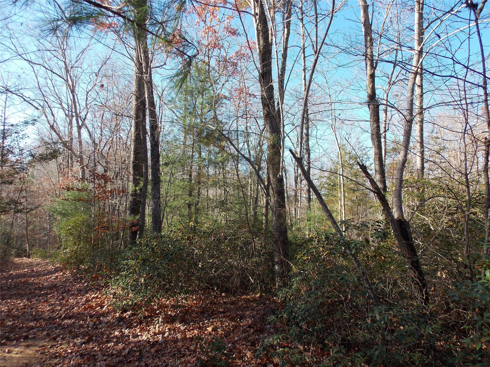 Tbd Raynolds Ridge Lake Toxaway, NC 28747 - Photo 5 of 10 Gallery Image 5