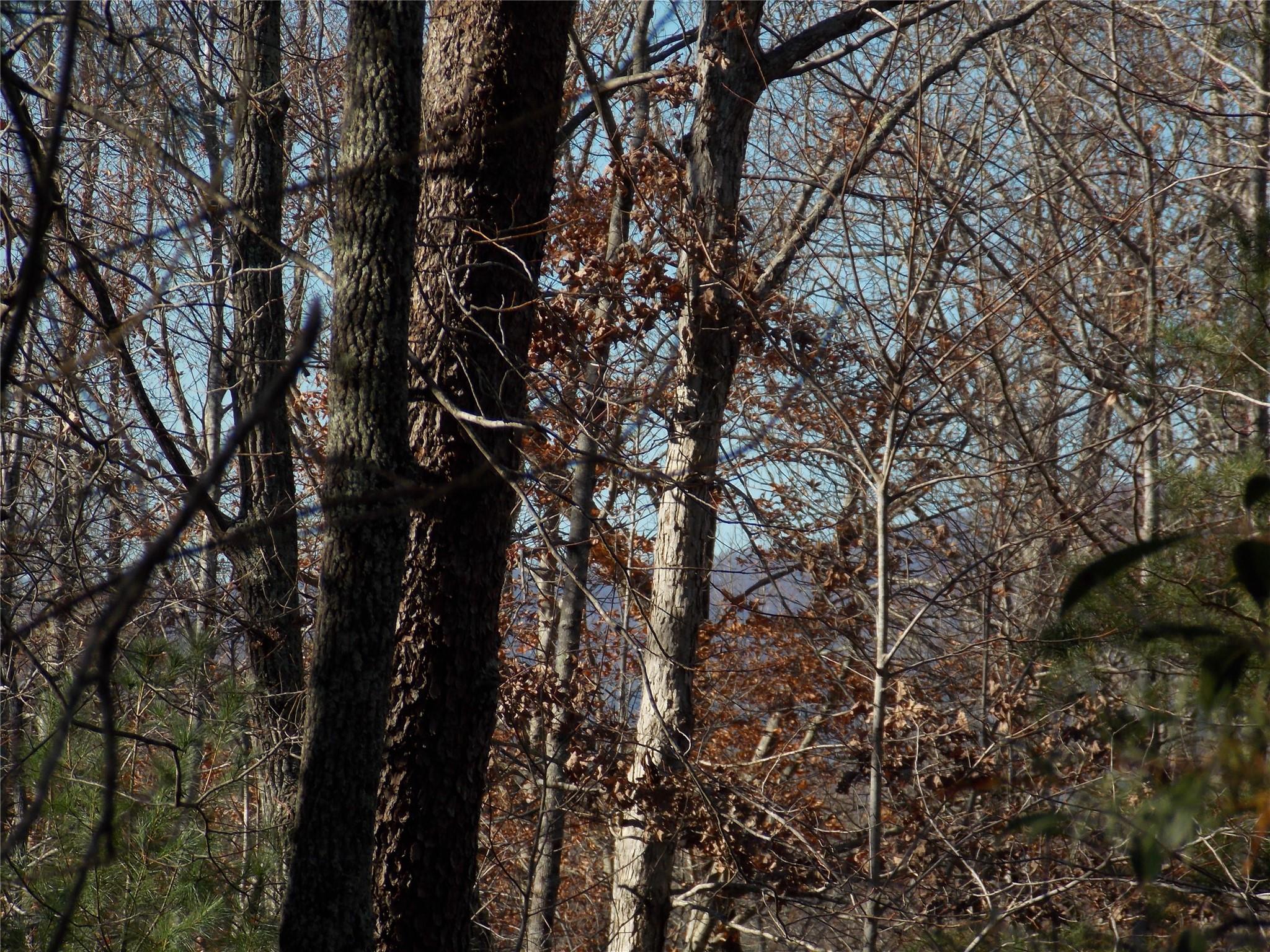 Tbd Raynolds Ridge Lake Toxaway, NC 28747 - Photo 6 of 10 Gallery Image 6