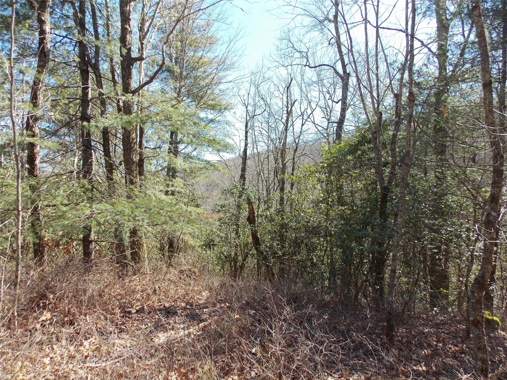 Tbd Raynolds Ridge Lake Toxaway, NC 28747 - Photo 7 of 10 Gallery Image 7