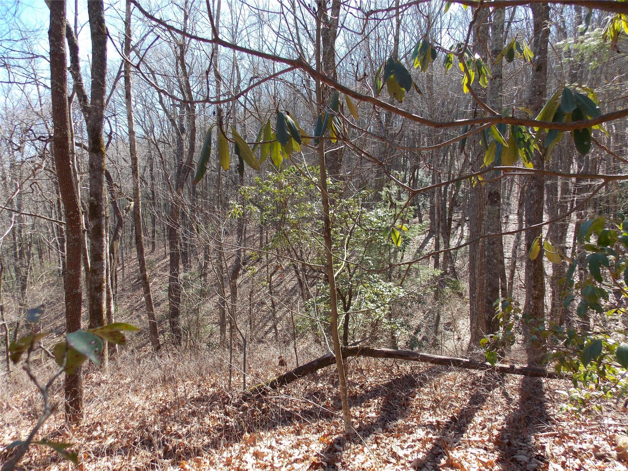 Tbd Raynolds Ridge Lake Toxaway, NC 28747 - Photo 8 of 10 Gallery Image 8