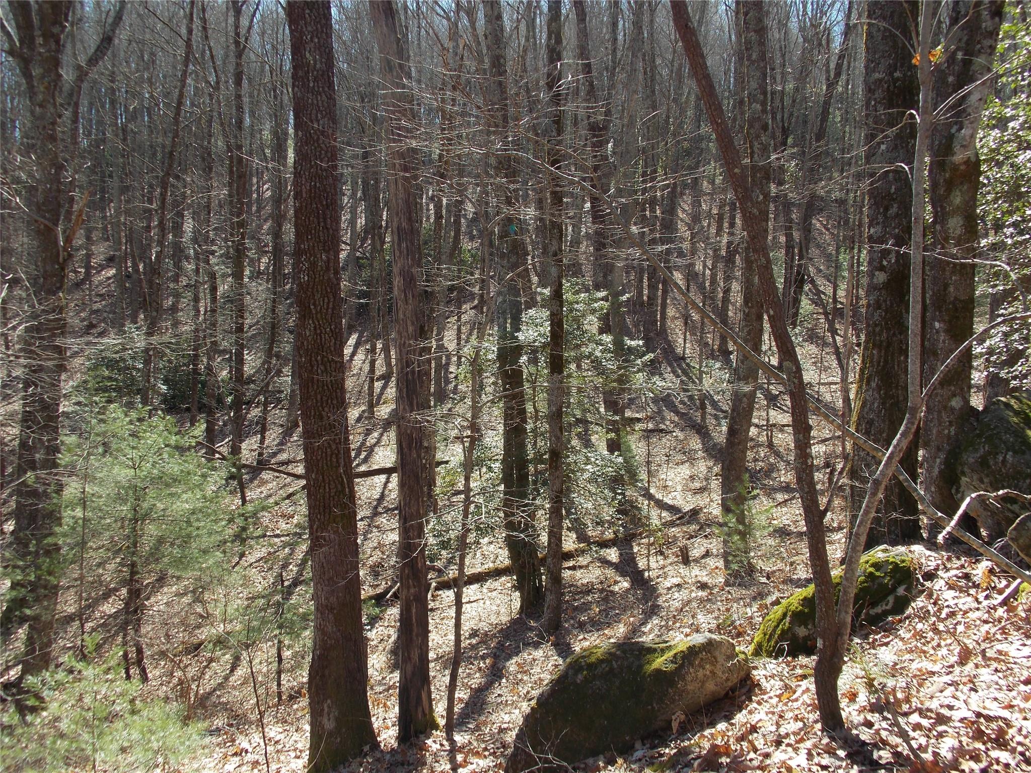 Tbd Raynolds Ridge Lake Toxaway, NC 28747 - Photo 9 of 10 Gallery Image 9