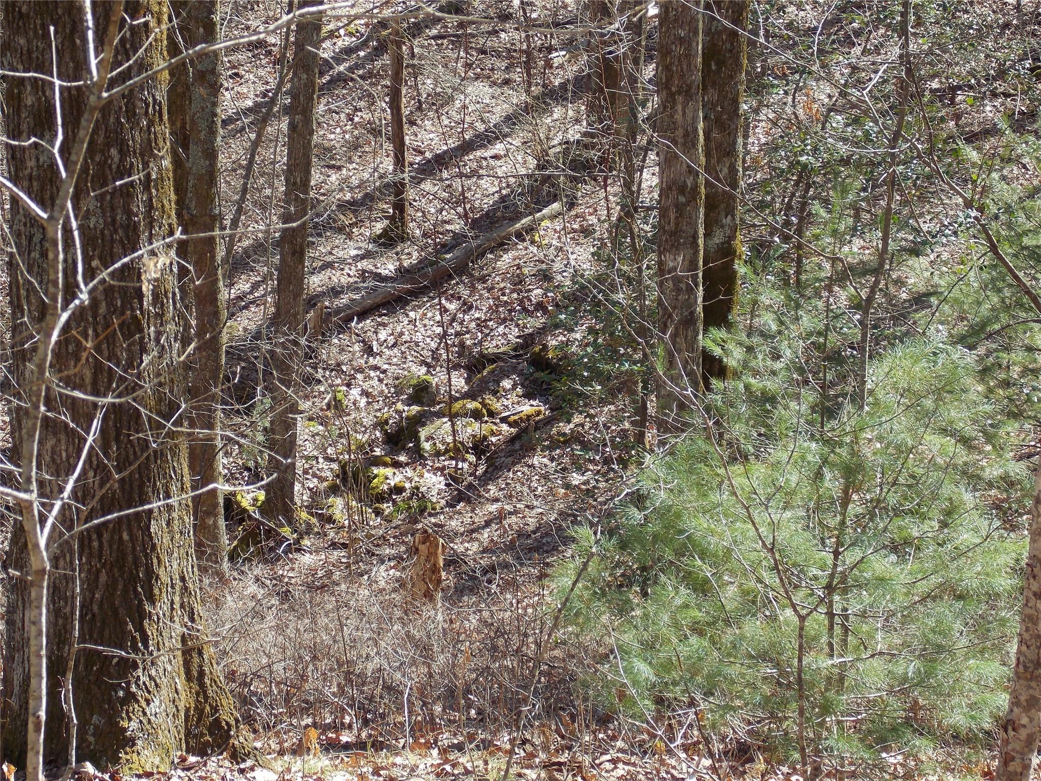 Tbd Raynolds Ridge Lake Toxaway, NC 28747 - Photo 10 of 10 Gallery Image 10