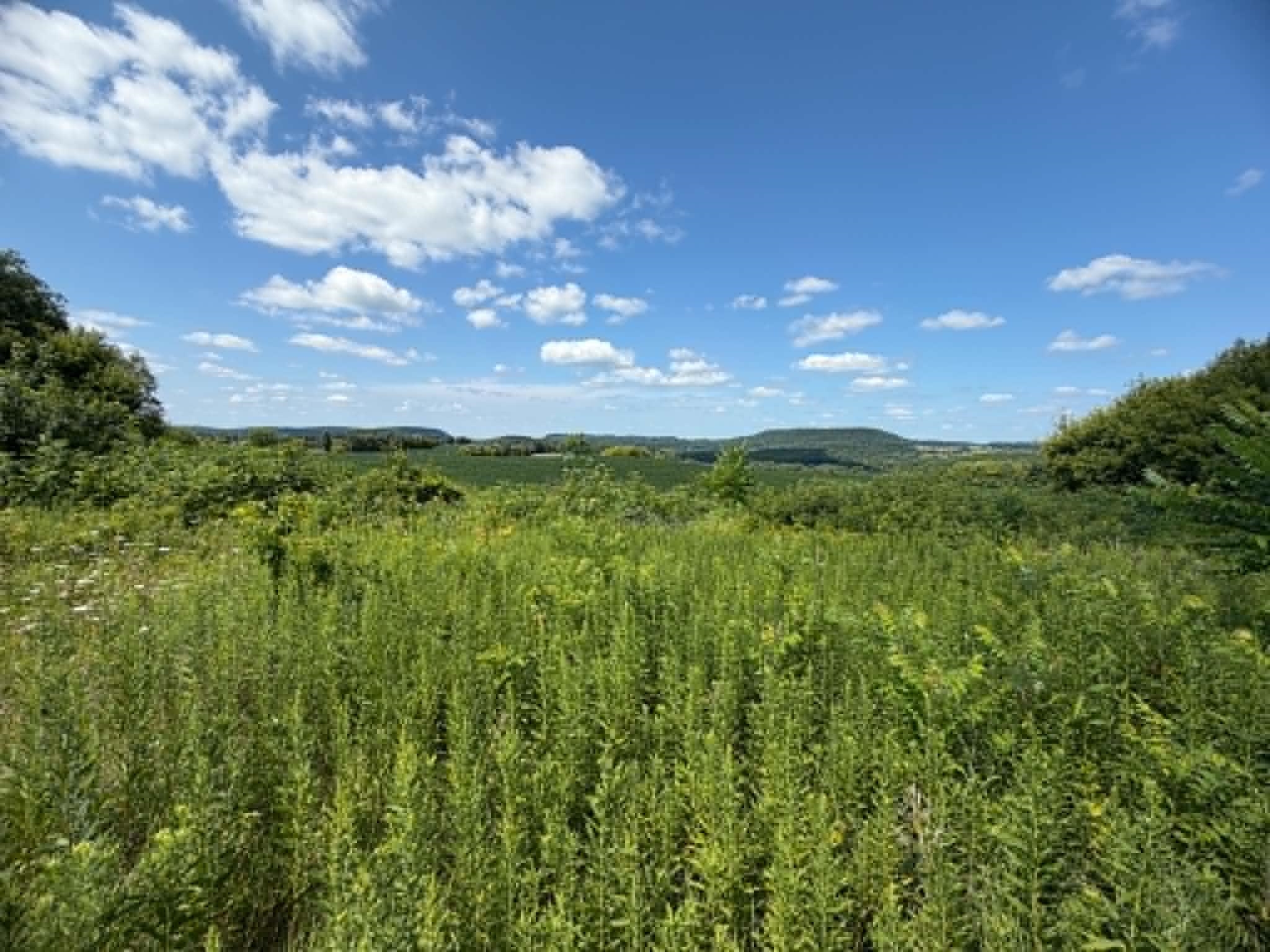 S5050 Durwards Glen Road Baraboo, WI 53913 - Photo 69 of 69 Gallery Image 69