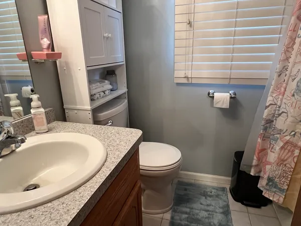 a bathroom with a sink and a toilet