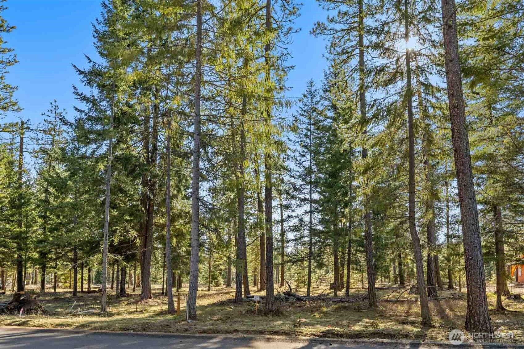 80 Wanawish Loop Ronald, WA 98940 - Photo 25 of 26