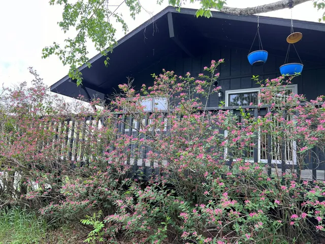 $499,999 | 5834 County 4 Northeast, Remer, MN 56672