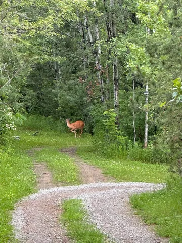 $499,999 | 5834 County 4 Northeast, Remer, MN 56672