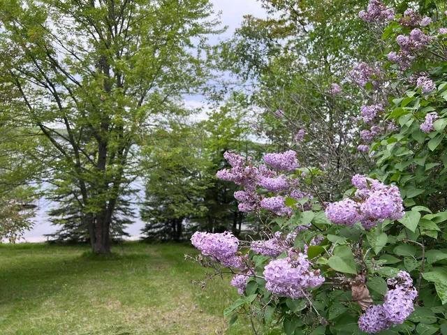 $499,999 | 5834 County 4 Northeast, Remer, MN 56672