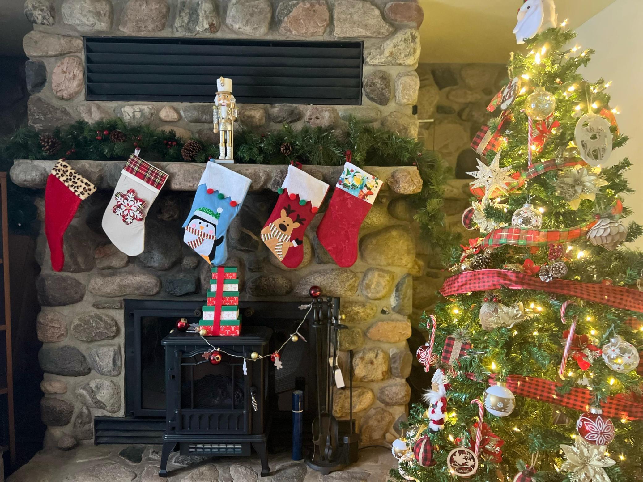 5834 County 4 Northeast Remer, MN 56672 - Photo 24 of 25