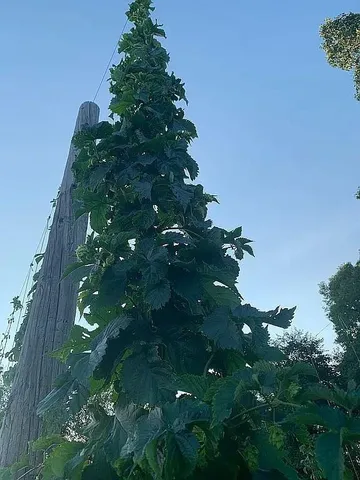 $525,000 | 528 State Rte 1035, Kittanning, PA 16201