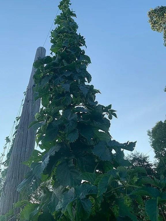 528 State Rte 1035 Kittanning, PA 16201 - Photo 34 of 45