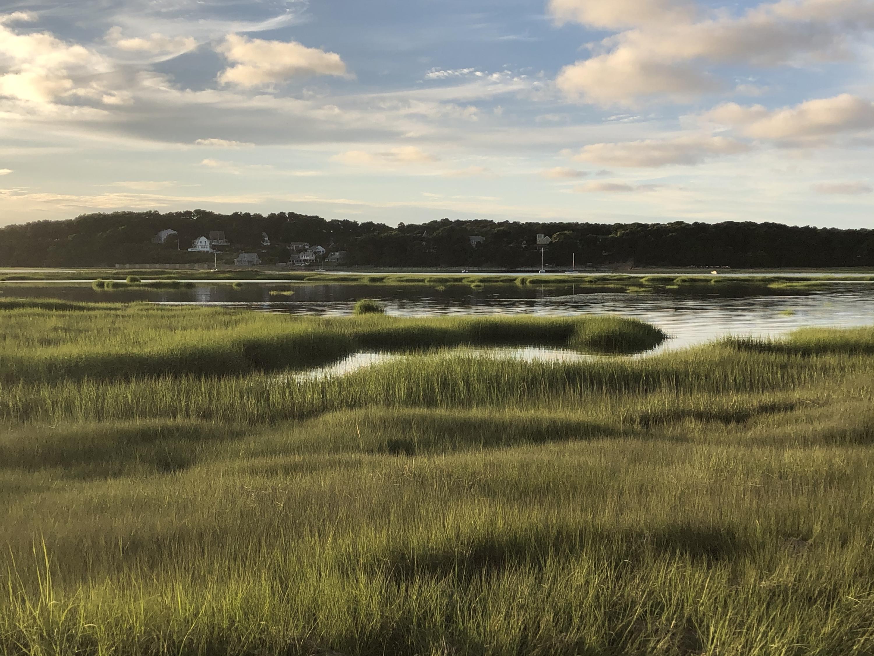 30 Warren Street Wellfleet, MA 02667 - Photo 30 of 47 a view of a lake with houses in the back