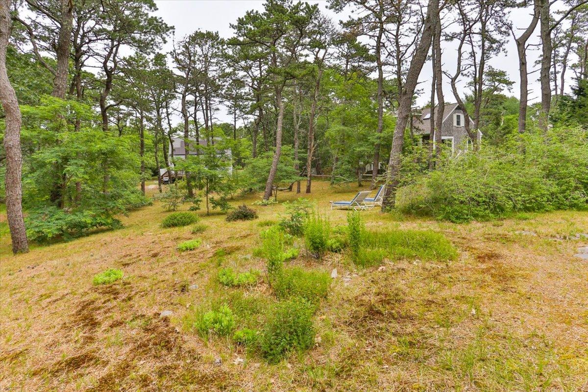 30 Warren Street Wellfleet, MA 02667 - Photo 45 of 47 a view of yard with green space