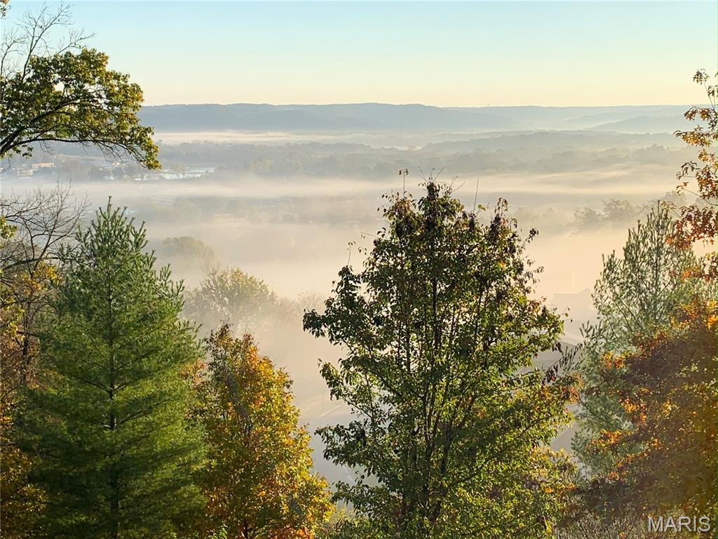 326 Palisades Ridge Court Eureka, MO 63025 - Photo 65 of 67