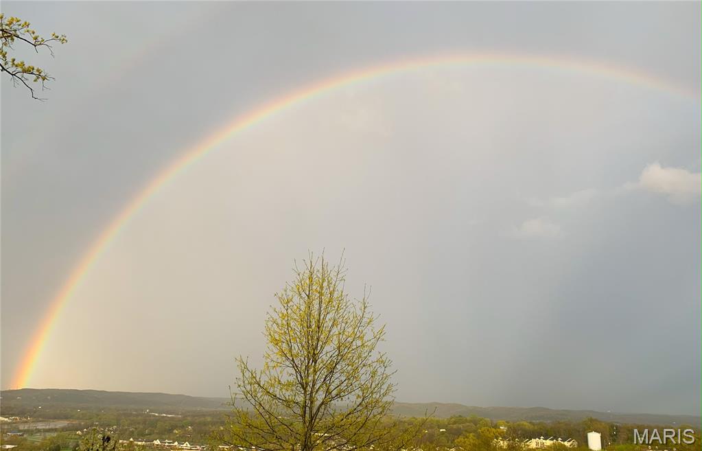 326 Palisades Ridge Court Eureka, MO 63025 - Photo 66 of 67