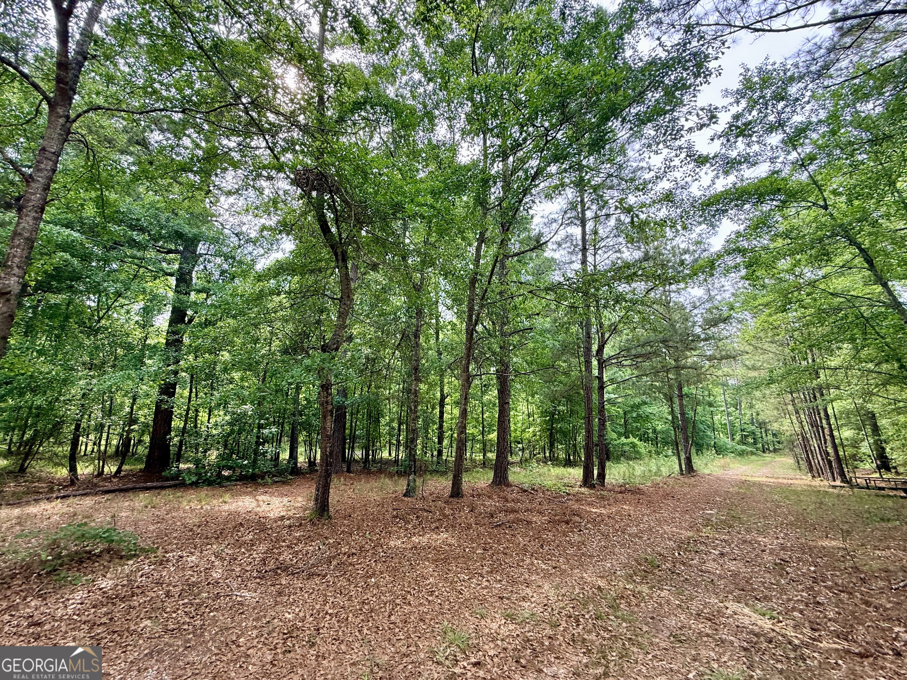 715 Fulsome Creek Road Sparta, GA 31087 - Photo 110 of 117