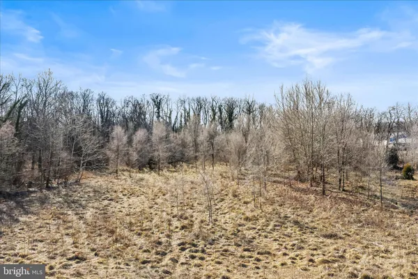 a view of a dry yard with trees in the background