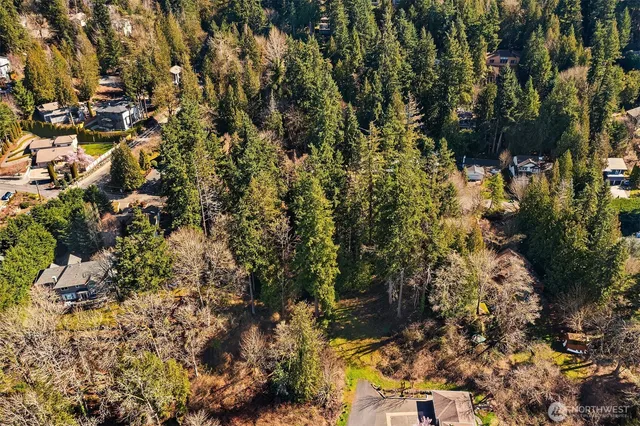 a view of a house with a tree
