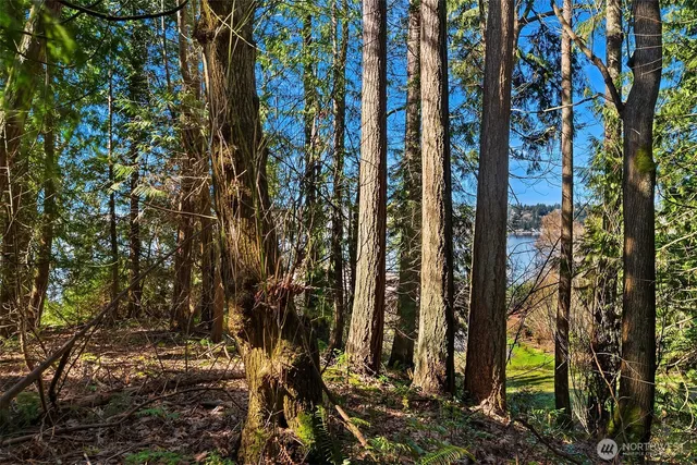 a view of a lake with a city