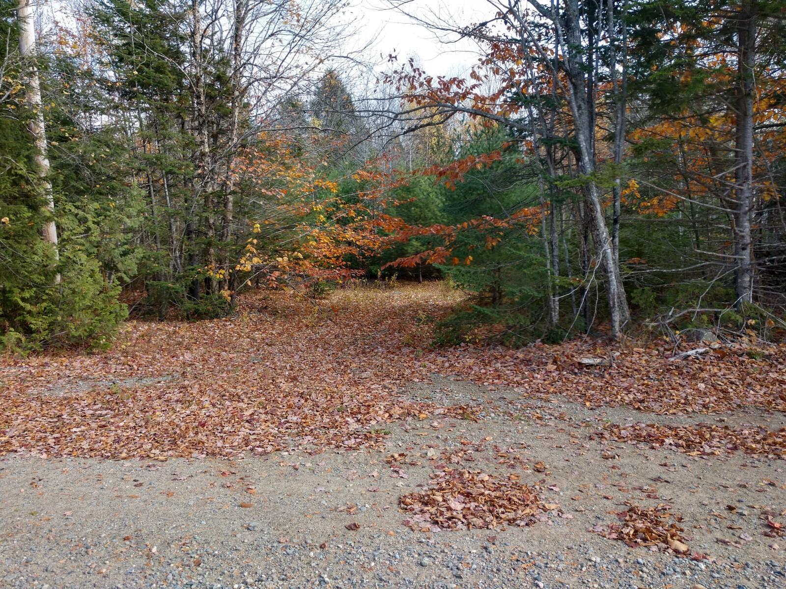 42-1 Camp & East Ridge Road Cooper, ME 04657 - Photo 2 of 7 IMG_20191022_121300063_HDR