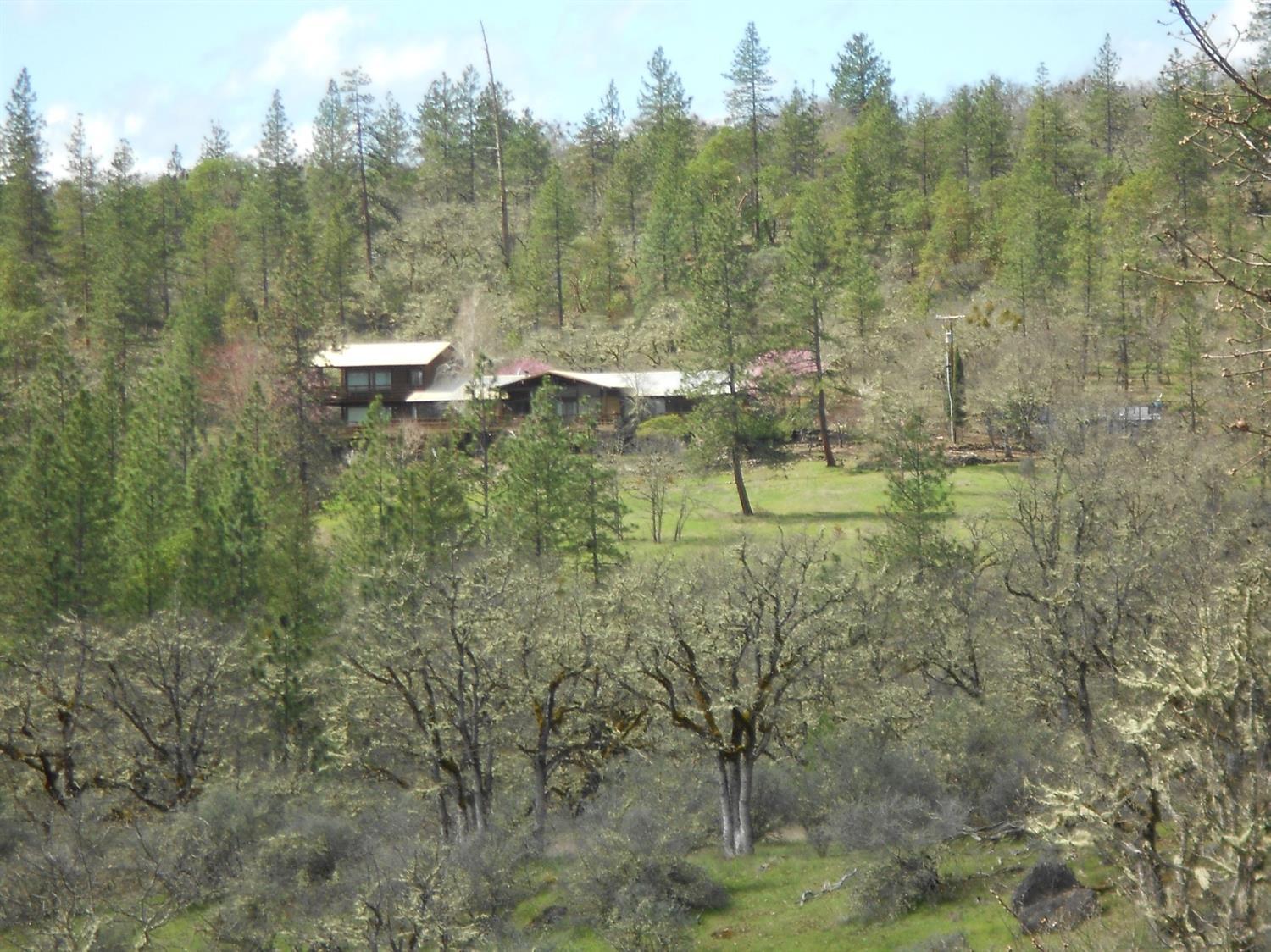 1888 South Obenchain Road Eagle Point, OR 97524 - Photo 3 of 34 a view of a lake with mountain view and trees