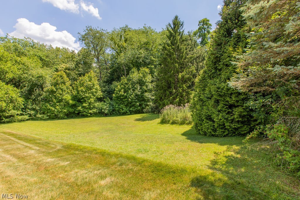 9515 Mennonite Road Wadsworth, OH 44281 - Photo 25 of 30 Gallery Image 25