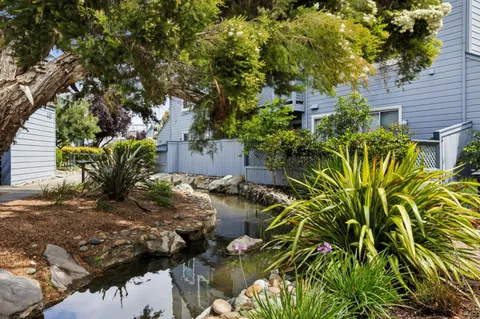 a view of outdoor space with garden