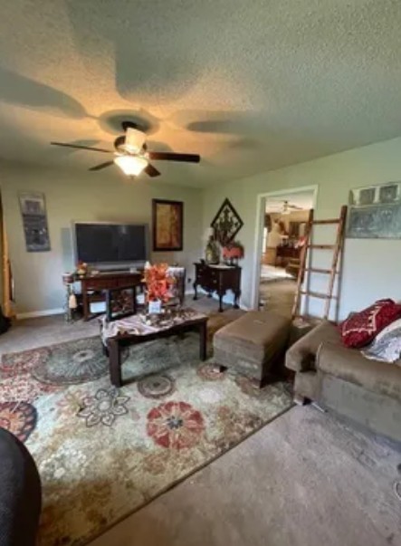632 Clax Branch Road Loretto, TN 38469 - Photo 26 of 42 Gallery Image 26
