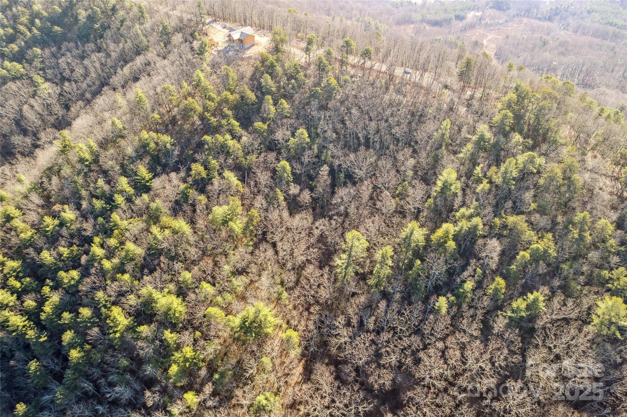 5241 Pine Ridge Drive Connelly Springs, NC 28612 - Photo 8 of 12 a view of a yard
