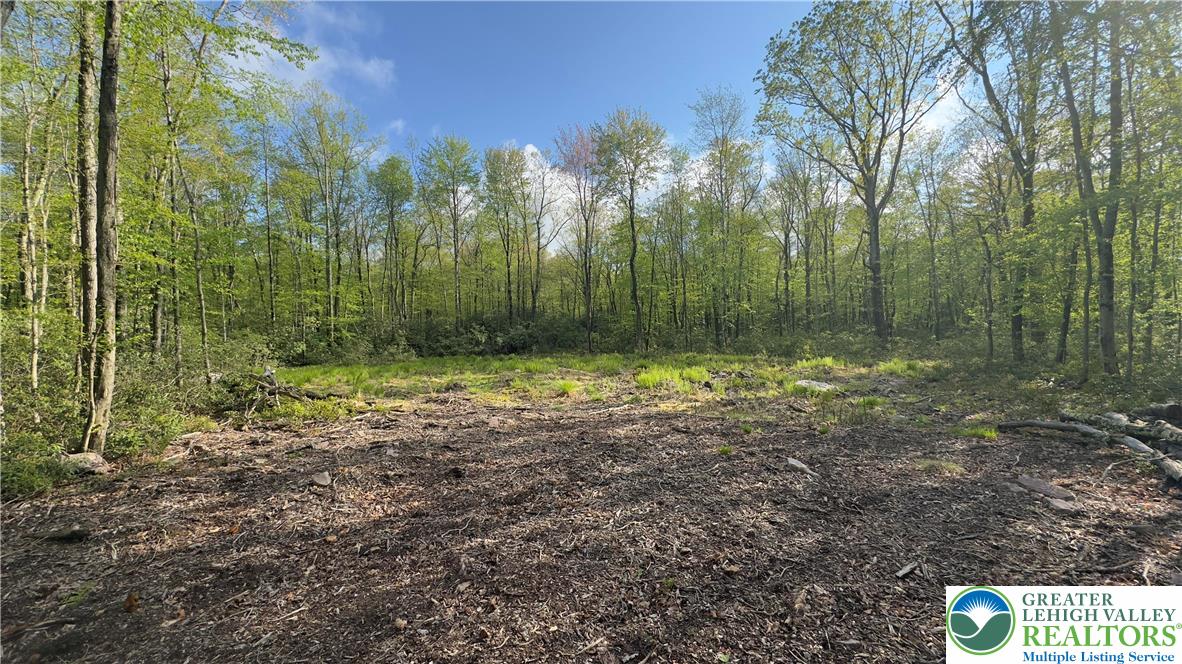 Butternut & Mahogany Road Jim Thorpe, PA 18229 - Photo 3 of 7 Gallery Image 3