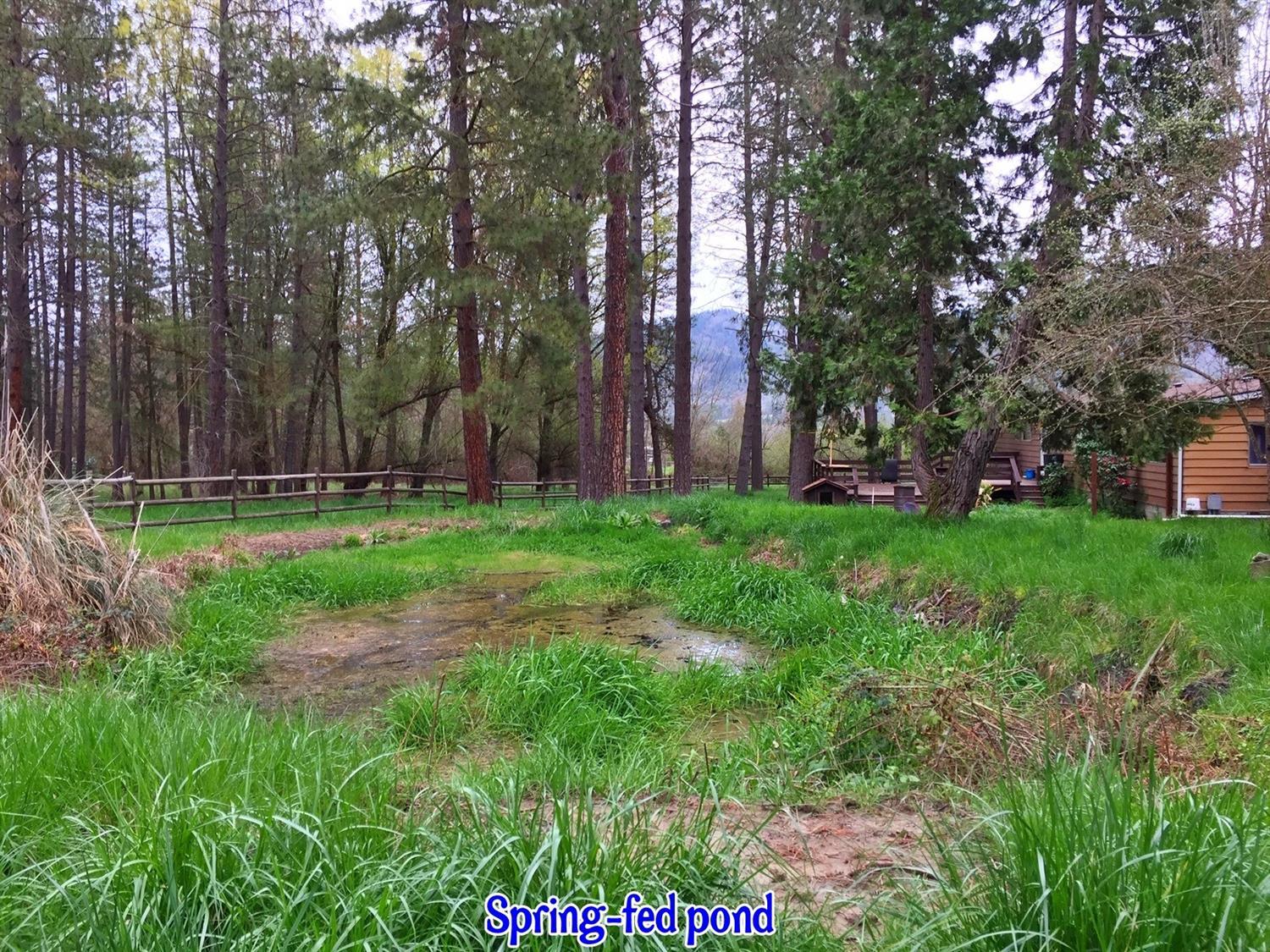 680 Horizon Hills Road Williams, OR 97544 - Photo 13 of 20 Additional Photo