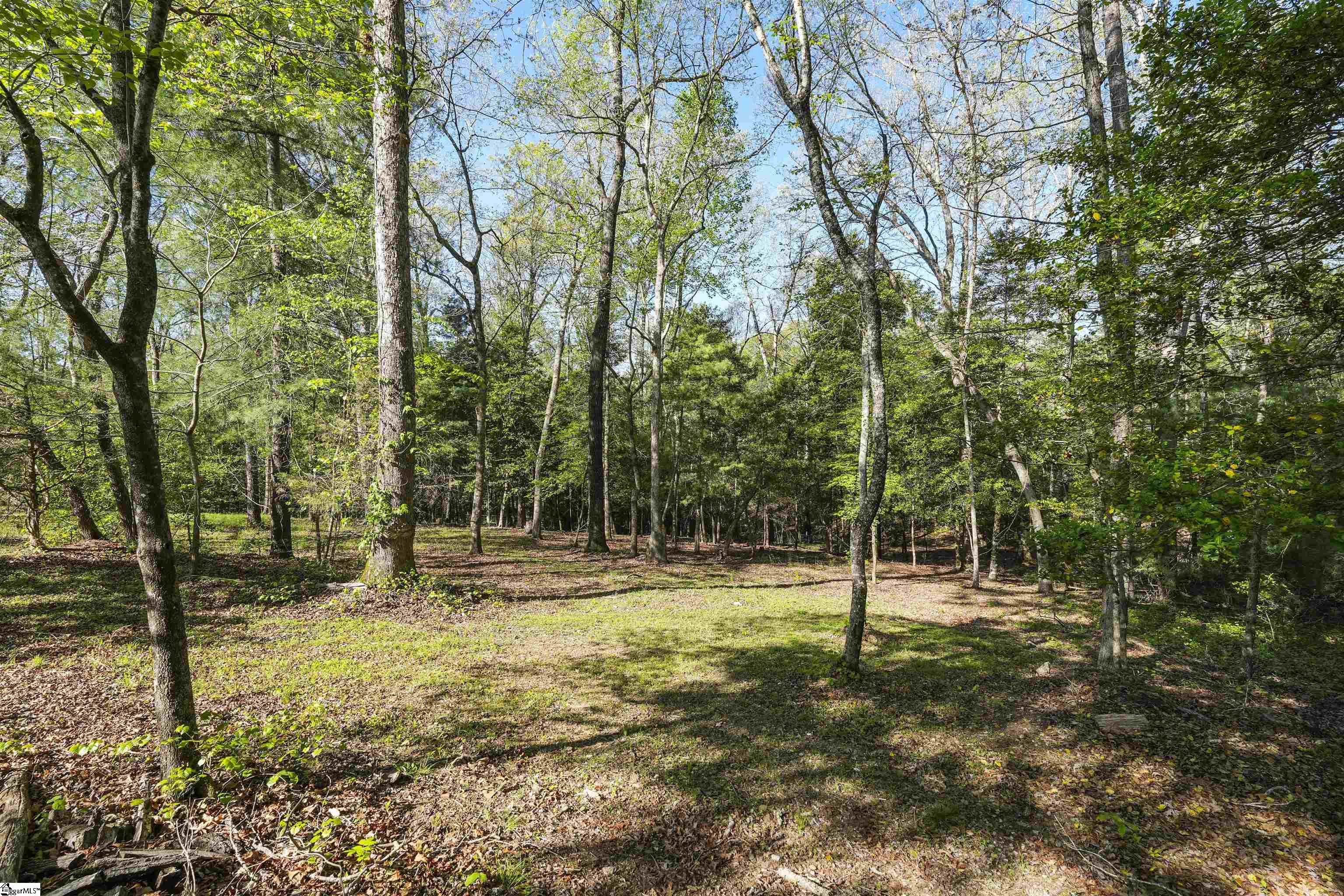 206 John Holliday Road Six Mile, SC 29682 - Photo 34 of 36